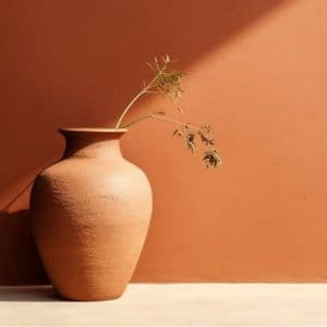 diseño sin título (8) (1)